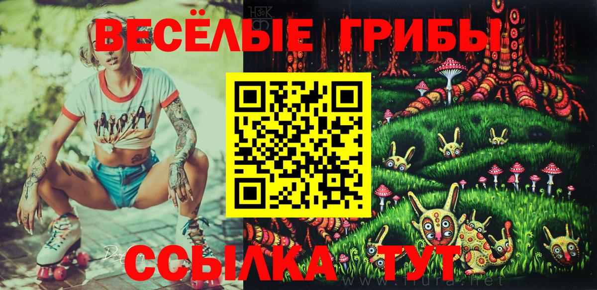 Старая Купавна  Галлюциногенные грибы Psilocybine cubensis  Вход с VPN 